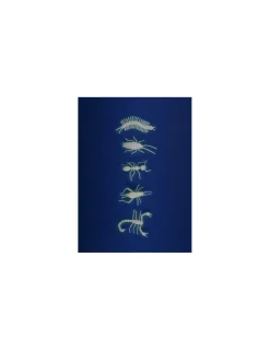 Moulin Roty 5 insectes phosphorescents -