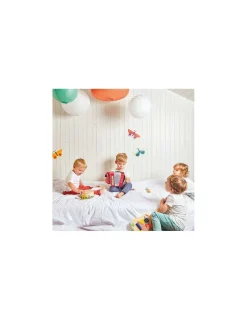 Janod Accordéon Gioia -