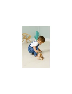 Little Big Friends Adrien le chien à tirer -