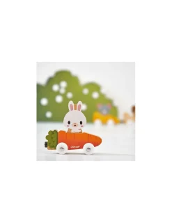 Janod Animaux familiers magnétique -