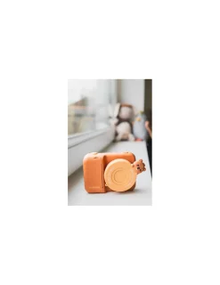 Enfant The Zoofamily Appareil photo Ours Zoo Print -