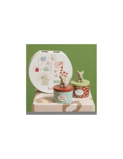 Amadeus Les Petits Boite à dents Rêverie d'ailleurs -