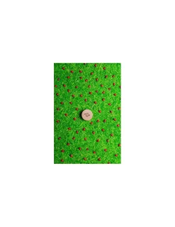 Petit Boum Bouteille sensorielle coccinelles -