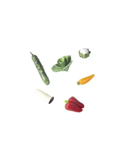 Petit Boum Bouteille sensorielle légumes -