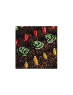 Petit Boum Bouteille sensorielle légumes -