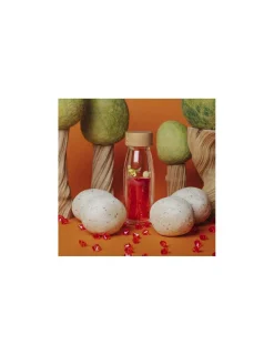 Petit Boum Bouteille sensorielle Move T-Rex -