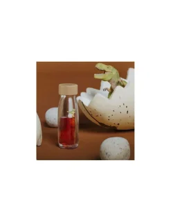 Petit Boum Bouteille sensorielle Move T-Rex -