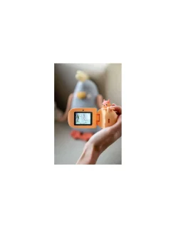 Enfant The Zoofamily Camera Renard Zoo Video -