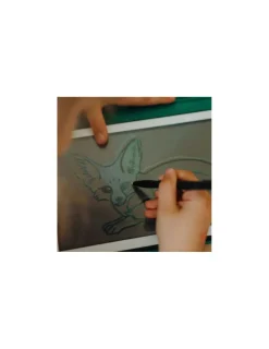 Kidywolf Cartes Kidydraw Mini Animaux et Pirates -