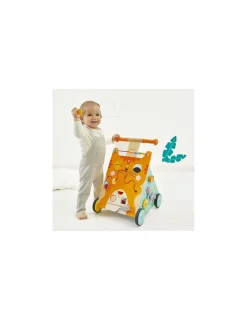 Janod Chariot de marche chat multi activités -