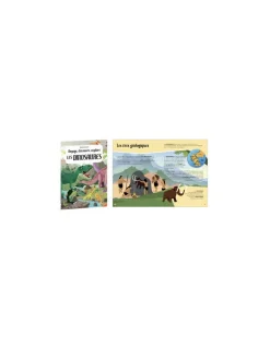 Sassi junior Coffret livre et puzzle Les dinosaures - Sassi