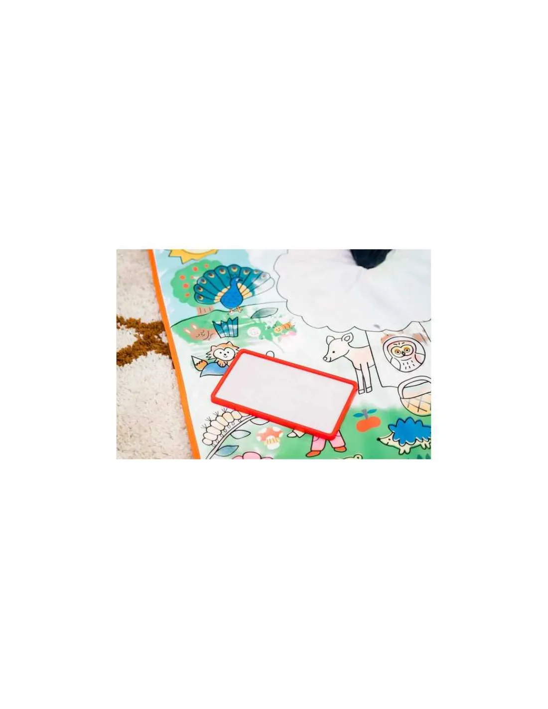 Nathan Coloréo Baby -