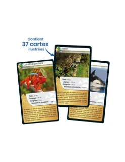 Enfant Bioviva Défis nature 15e Anniversaire -