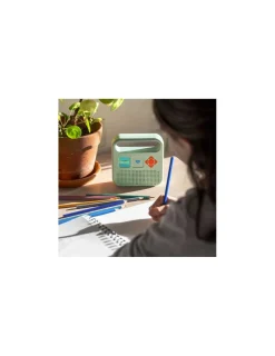 Enfant Merlin Enceinte