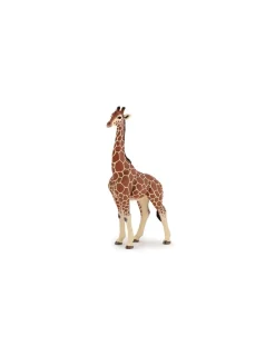 Papo Figurine girafe mâle -
