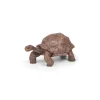 Papo Figurine tortue des Galápagos -