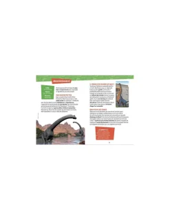 Auzou Je découvre les dinosaures -