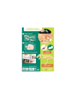 Auzou Je découvre les dinosaures -