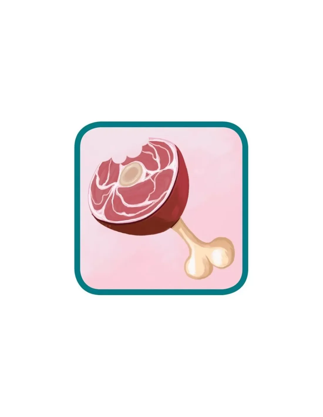 Enfant Asmodee Jeu Concept kids animaux