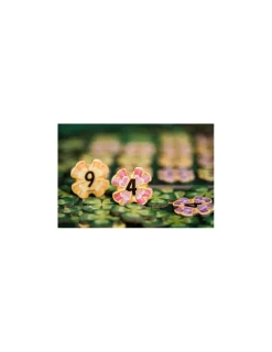 Neo Ludis Jeu Lucky numbers