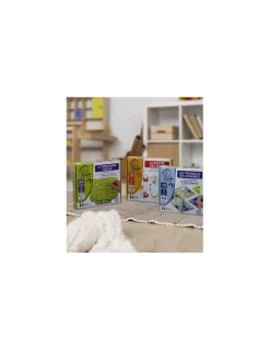 SEPP Jeux Jeu magnétique La Ruche des Sons