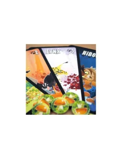 Enfant Blackrock Games Jeu Prey Another Day