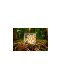 Blackrock Games Jeu The Vale of Eternity