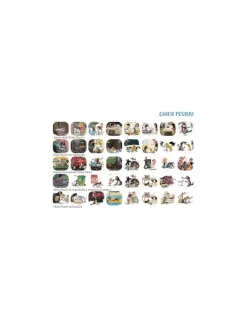 Moulin Roty Lampe à histoires livre Chien Pourri Ecole des loisirs -