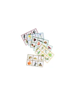 Enfant Moulin Roty Le loto de la nature -