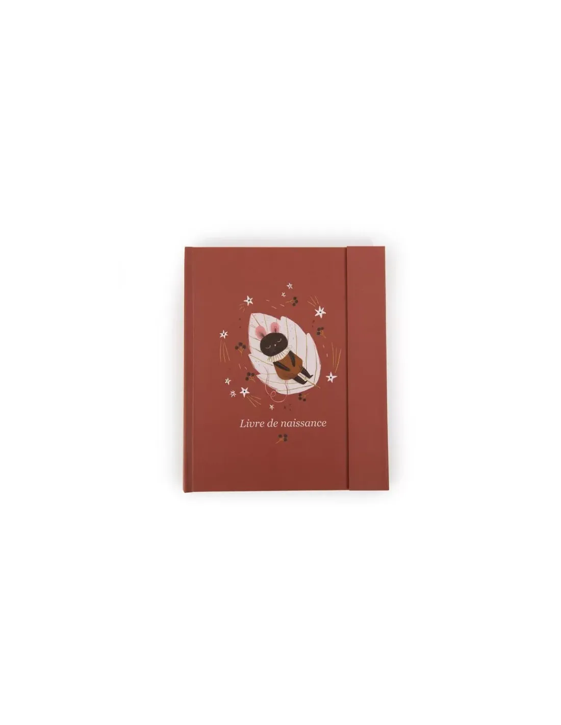 Moulin Roty Livre de naissance Après la pluie -