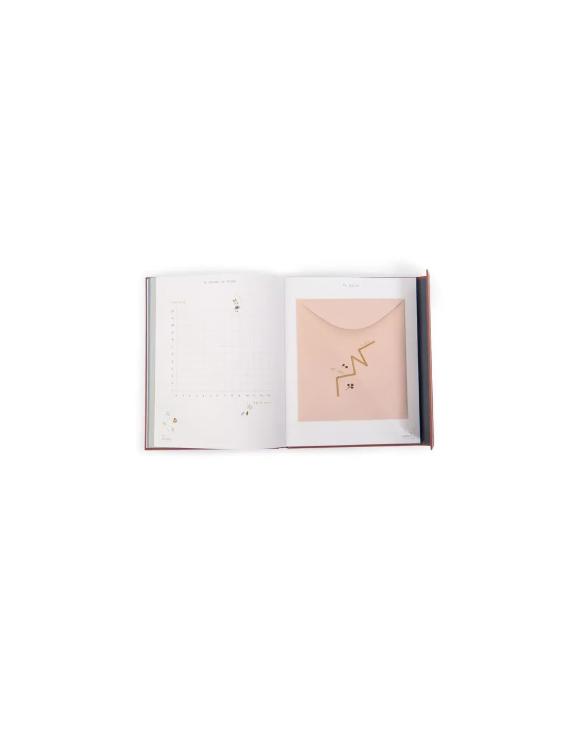 Moulin Roty Livre de naissance Après la pluie -