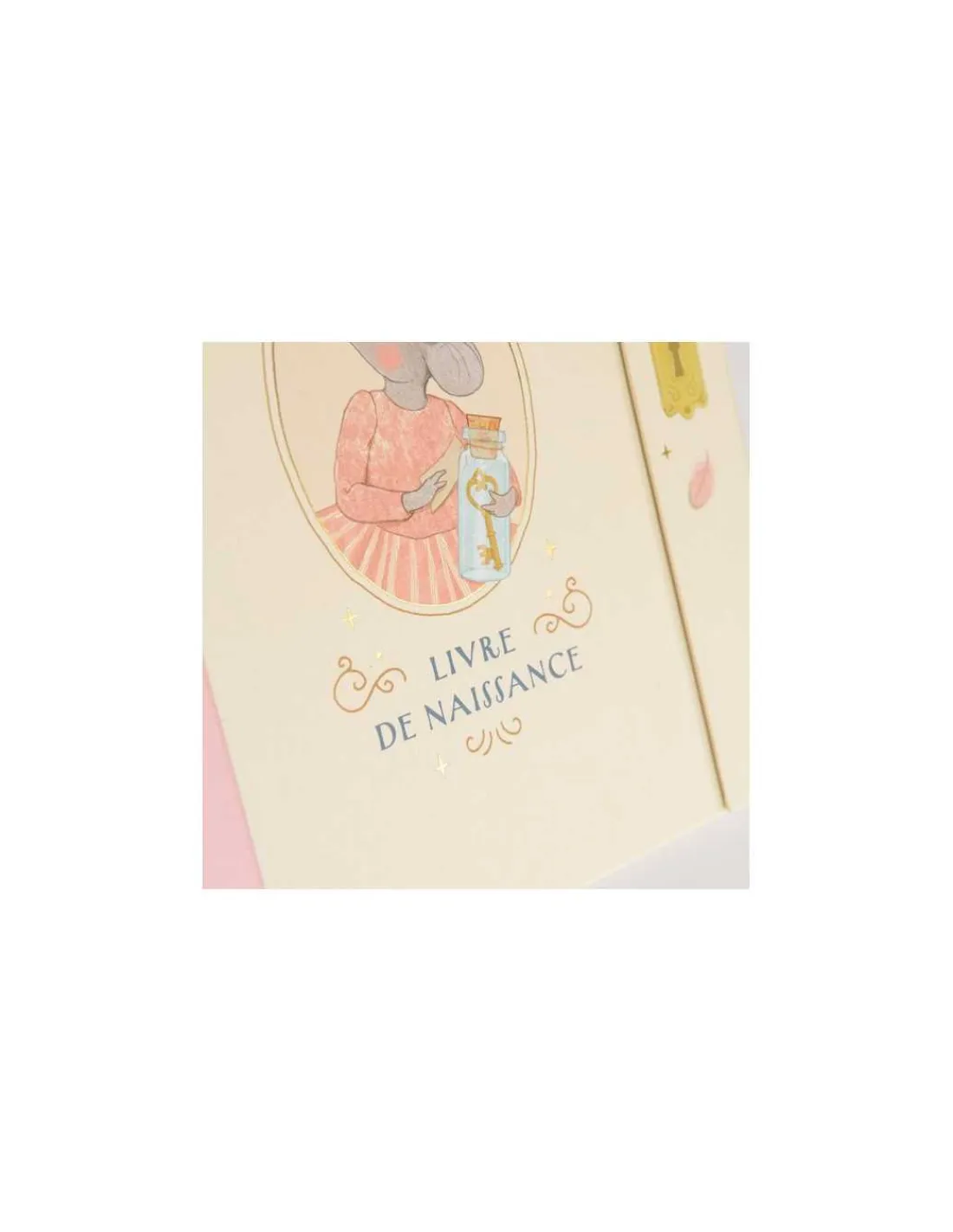 Moulin Roty Livre de naissance La petite école de danse -