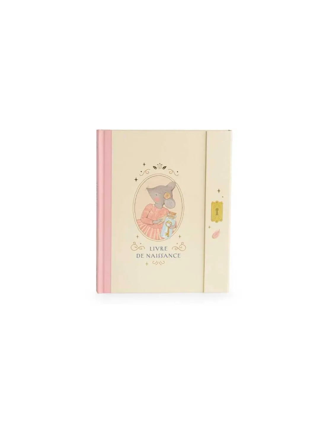 Moulin Roty Livre de naissance La petite école de danse -