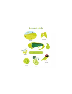 Auzou Livre Mes premières couleurs à toucher -