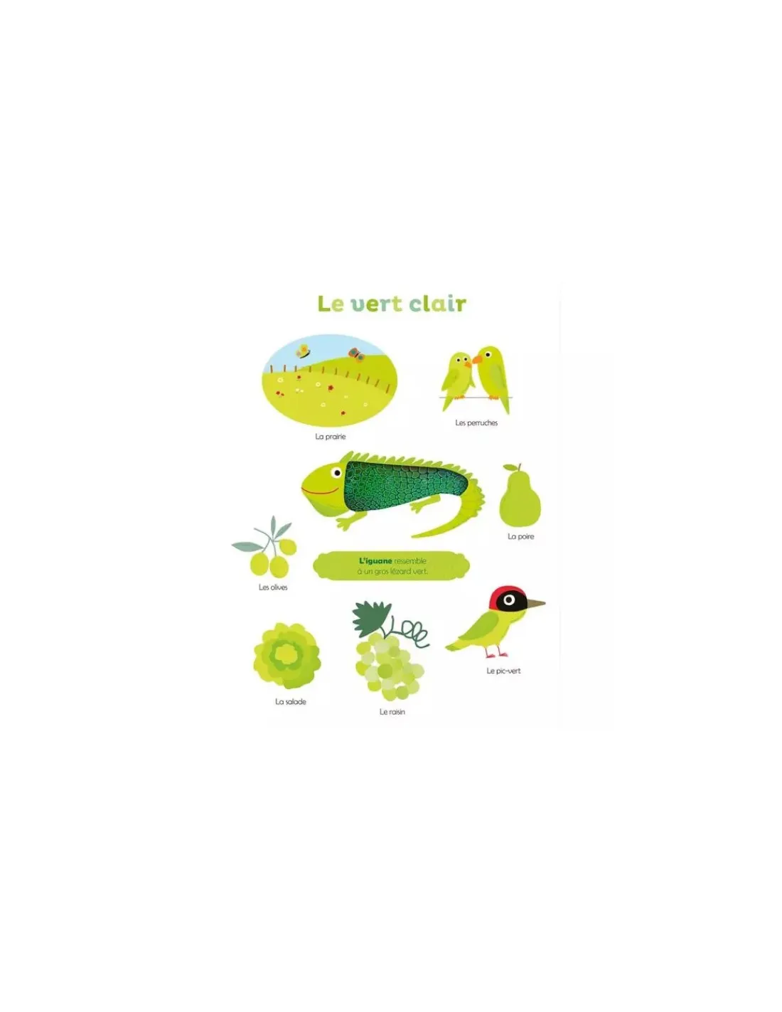 Auzou Livre Mes premières couleurs à toucher -