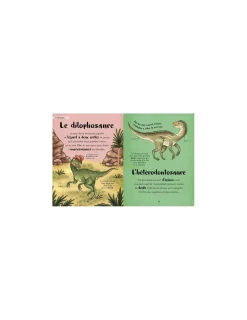 Auzou Ma première anthologie des dinosaures -