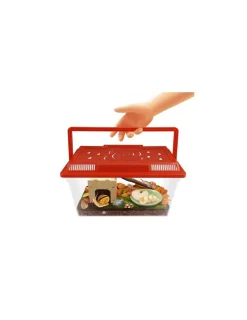 Buki France Maison des escargots - Buki