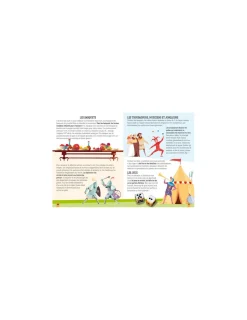 Sassi junior Maquette 3D le chateau fort - Sassi