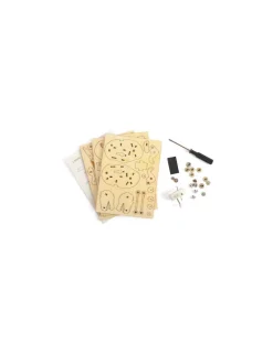 Enfant Graine Creative Maquette 3D mécanique T-Rex - Graine Créative