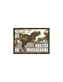 Enfant Buki France Maxi pack Dino à deterrer - Buki