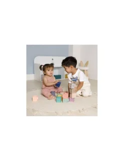 BabyToLove Mes premiers cubes éducatifs -