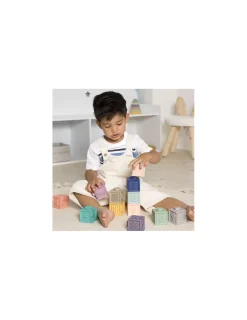 BabyToLove Mes premiers cubes éducatifs -