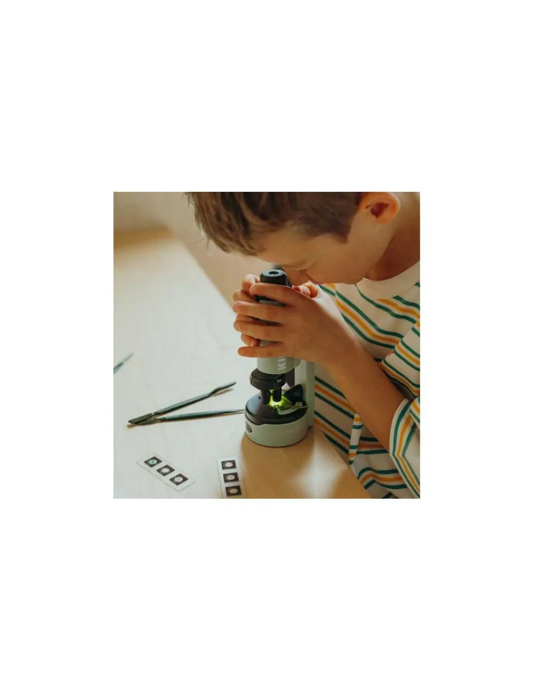 Kidywolf Microscope vert -