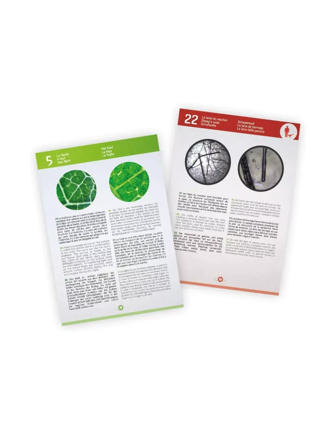 Enfant Buki France Microscope vidéo 3 en 1 - Buki