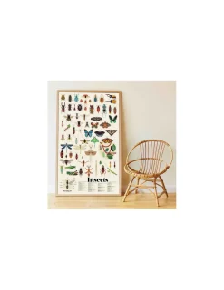 Poppik Poster en stickers insectes -