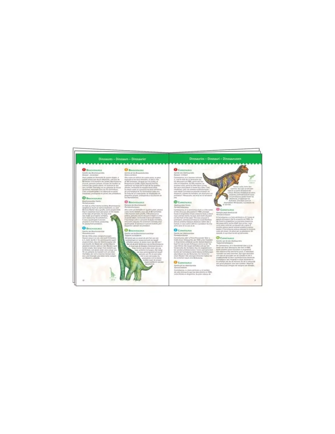 Djeco Puzzle d'observation Dinosaures et livret -