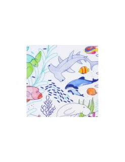 Super Petit Set à colorier silicone Barrière de corail -