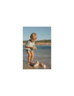 Little Dutch Set de glaces -