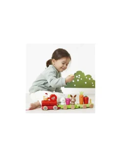 Janod Train à tirer Ferme -