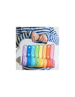 Tiger Tribe Xylophone à rouleaux arc en ciel -